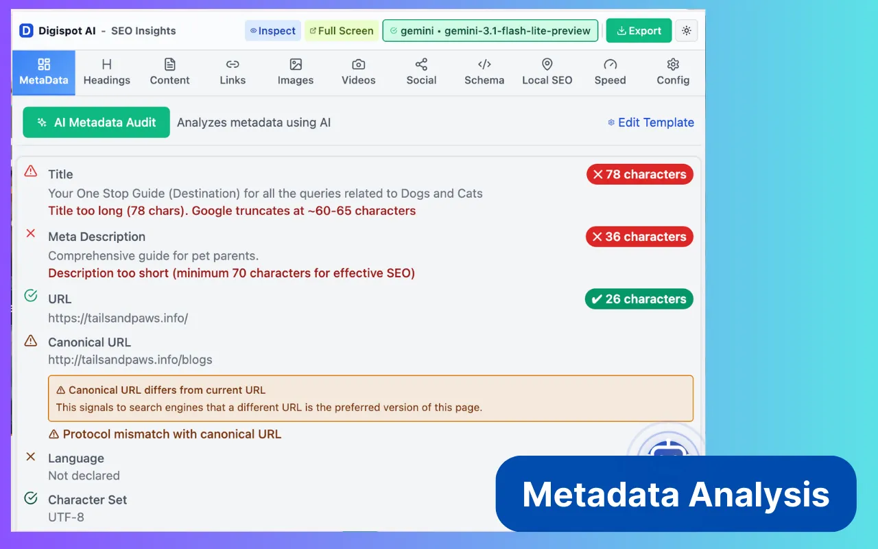 Metadata Audit